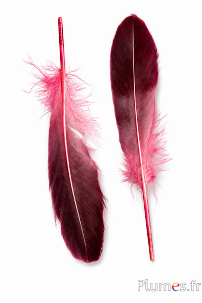 Anatra - 18-20 cm, sinistra e destra - rosa vecchia-nero